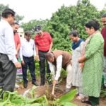लोकपर्व हरेला पर कृषि मंत्री गणेश जोशी ने वृक्षारोपण कर दिया हरियाली बढ़ाने का संदेश